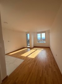 Nekretnina: Garsonjera, NOVI SAD, TELEP