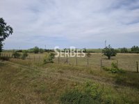 Nekretnina: Poljoprivredno zemljište – 19.197 m², u blizini aerodroma Čenej ID#1856