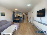 Nekretnina: VRACAR Golubačka ID: 93761996