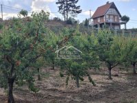 Nekretnina: Plac - Zaklopača - 9ari ID#25533