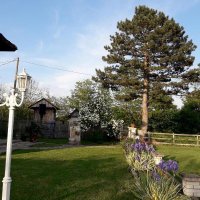 Nekretnina: CACAK-GRAD Put za Kragujevac ID: 7997