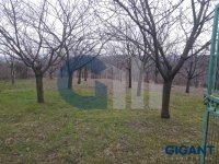 Nekretnina: ZVEZDARA Stanojeva livada ID: 96099350