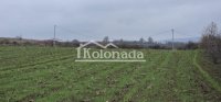 Nekretnina: Ravan plac od 10 ari u mirnom delu Rogače, Kosmaj, Sopot ID#6226