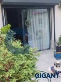Nekretnina: VRACAR Sazonova ID: 90362991