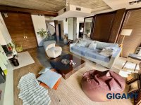 Nekretnina: VOZDOVAC Jove Ilića ID: 97377