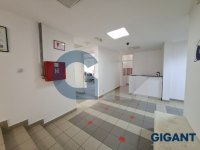 Nekretnina: VOZDOVAC Borisavljevićeva ID: 97569