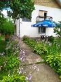 Kuca u Surdulici,180m2,6ari placa