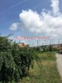 RAKOVICA Miljakovačke staze ID: 576086278