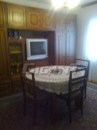 Nekretnina: SAVSKI VENAC Sokobanjska ID: 348776802