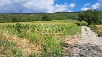Nekretnina: Palilula - Višnjica - 8a ID#25700