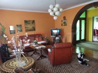 Nekretnina: GRADSKA LOKACIJA-STARA PAZOVA Svetosavska-Stara Pazova ID: 689865167