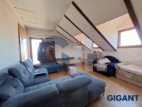 Nekretnina: ZEMUN Samaranova ID: 97082110