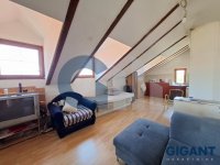 Nekretnina: ZEMUN Samaranova ID: 97082110