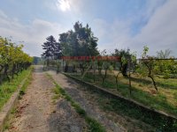 Nekretnina: LAZAREVAC Magistralna ID: 854522726