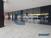 Nekretnina: PALILULA Pančevački put ID: 96332333