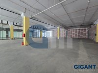 Nekretnina: PALILULA Pančevački put ID: 96332333