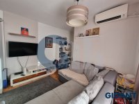 Nekretnina: ZVEZDARA Zagrađe ID: 97549107