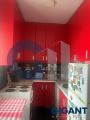 VRACAR Svetozara Markovića-Vračar ID: 97446110