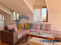 Nekretnina: SAVSKI VENAC Drinička ID: 9770574