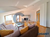 Nekretnina: SAVSKI VENAC Drinička ID: 9770574