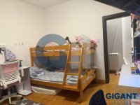 Nekretnina: PALILULA Despotovačka ID: 96003323
