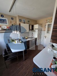 Nekretnina: VRACAR Mileševska ID: 96979206