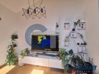 Nekretnina: OPŠTINA ZEMUN Šumadijska-Zemun ID: 980772