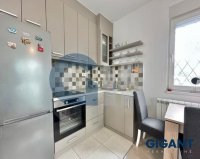 Nekretnina: ZVEZDARA Matice srpske ID: 981142