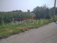 Nekretnina: PALILULA Vajfertova - Ovča ID: 855772700