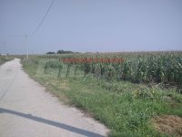 Nekretnina: PALILULA Vajfertova - Ovča ID: 855772700