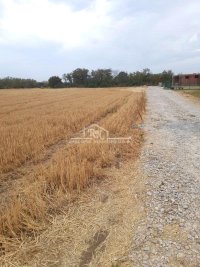 Nekretnina: Čukarica, Savska terasa, Stari lanci, 6 ari ID#1706