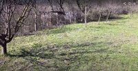 Nekretnina: Plac za turističko-rekreativni kompleks u blizini Novog Sada