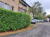 Nekretnina: Banovo brdo ID#1437