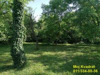 Nekretnina: Barajevo - Baćevac, plac 28.44 ari