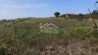 Nekretnina: Barajevo - Vranić, 114m2 + 37ari ID#25864