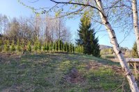 Nekretnina: Plac Zaovine-Tara