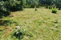 Nekretnina: Plac Zaovine-Tara