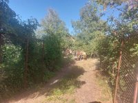 Nekretnina: Ekskluzivna ponuda na prodaju dva placa u Čortanovcima