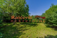 Nekretnina: VOZDOVAC Bulevar patrijarha Germana ID: 91763