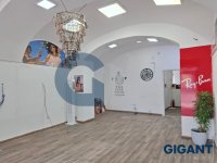 Nekretnina: OPŠTINA ZEMUN Glavna ID: 9832329