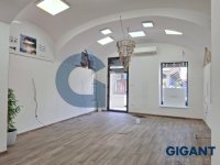 Nekretnina: OPŠTINA ZEMUN Glavna ID: 9832329