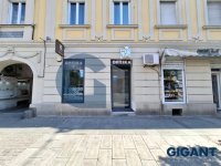 Nekretnina: OPŠTINA ZEMUN Glavna ID: 9832329