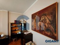 Nekretnina: OPŠTINA NOVI BEOGRAD Dr. Ivana Ribara ID: 977243