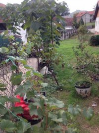 Nekretnina: Plac 6 ari - miran i obasjan plac na Miljakovcu 3