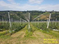 Nekretnina: Kosmaj - Rogača, 391.22 ara