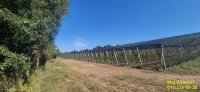 Nekretnina: Kosmaj - Rogača, 391.22 ara