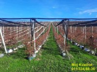Nekretnina: Kosmaj - Rogača, 391.22 ara