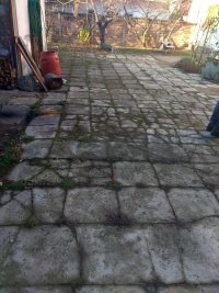 Nekretnina: Kuća, 200.00/980.00m2, NOVI SAD, PETROVARADIN