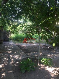 Nekretnina: Kuća, 150.00/638.00m2, NOVI SAD, TELEP