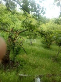 Nekretnina: OBRENOVAC Mostanicka ID: 7056